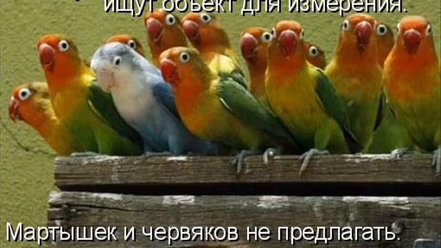 котоматрица - kotomatrix ru 2 смотреть онлайн
