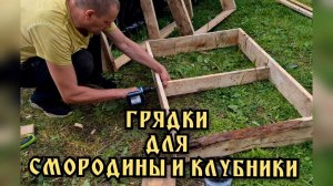 Грядки из поддонов для смородины и для клубники из доски.