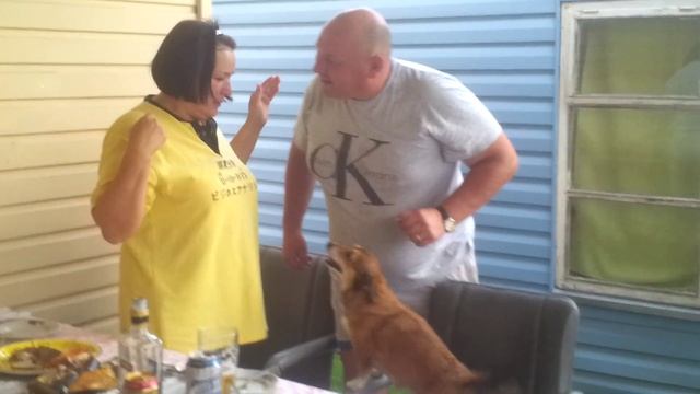 Собачка строит иерархию :) смотреть онлайн