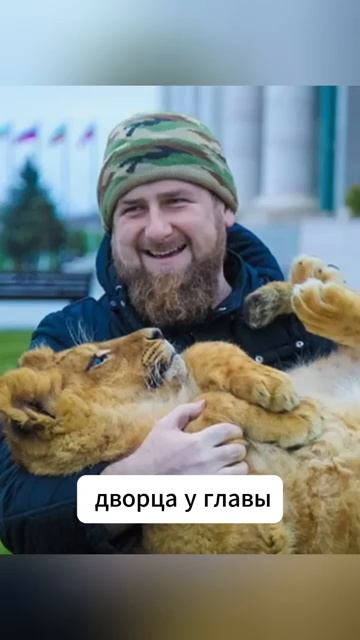 Жизнь Рамзана Кадырова смотреть онлайн