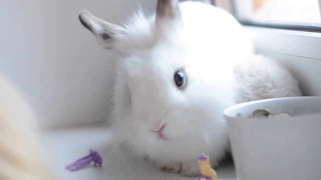 Влог.  Полина и ее друзья.  Фильм 1