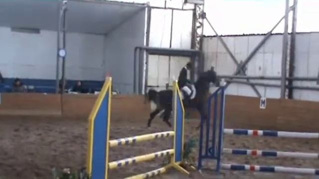 КСК Хлопово смотреть онлайн