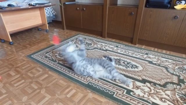 Боцман с птицей смотреть онлайн