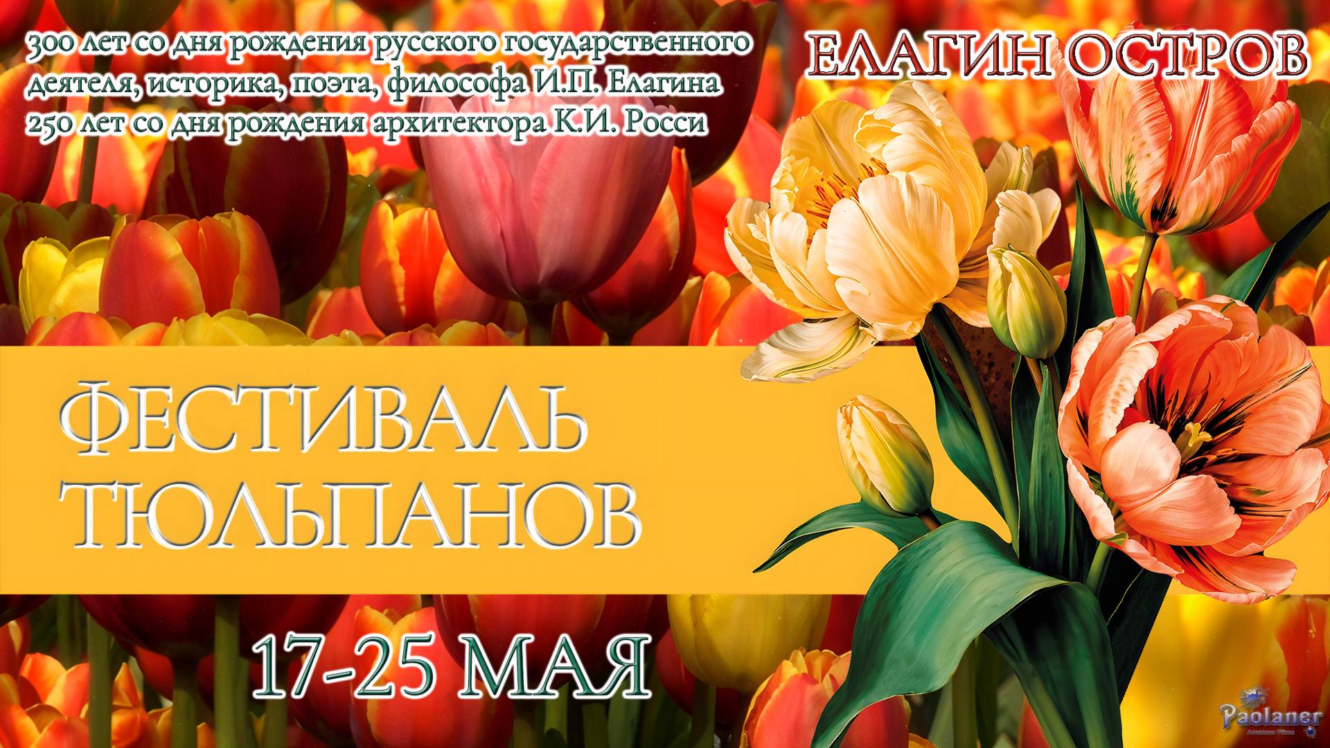 XIII Фестиваль тюльпанов на Елагином острове (2025) смотреть онлайн