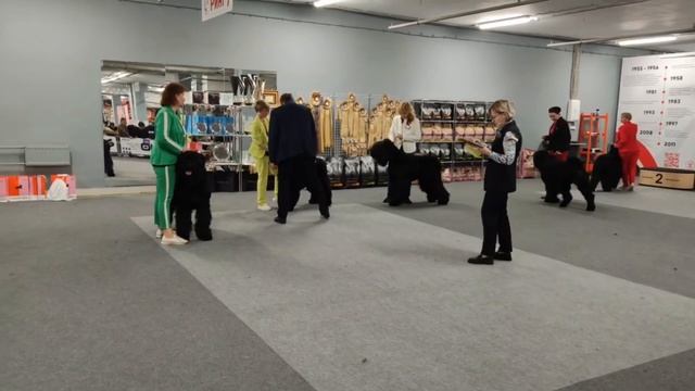 23 Февраля 2024 "Черный Кубок Grandorf" Соцветие Гордый Демон смотреть онлайн