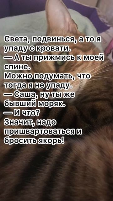 Света подвинься! #анекдоткороткий #анекдоты #анекдототкожаного #приколы смотреть онлайн