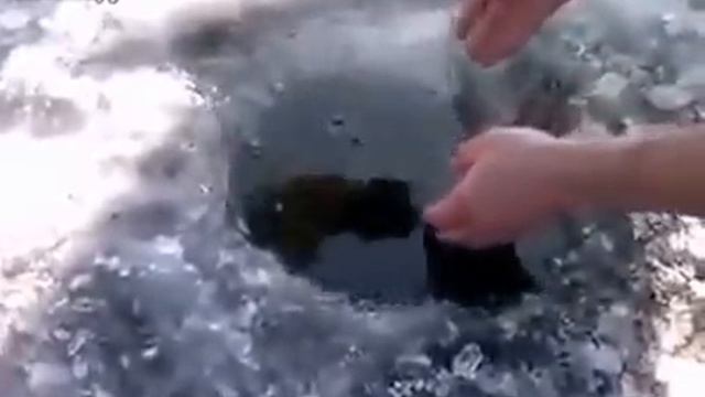 Рыбалка зубами смотреть онлайн