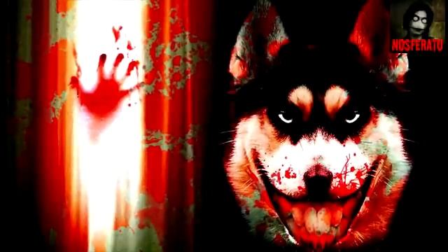 Smile.jpg (Smile.Dog) Страшные истории на ночь 🫣🫣🫣 смотреть онлайн