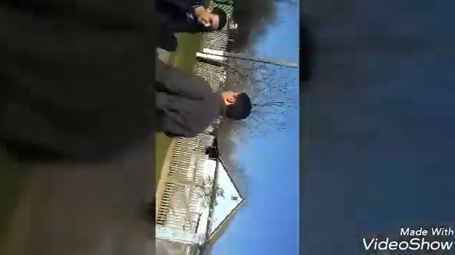Приколы века чем развлекаются в селах смотреть онлайн