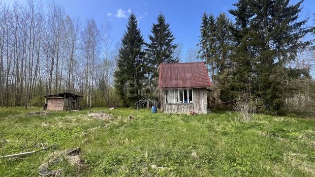 Посадников остров, садоводческое некоммерческое товарищество Турист смотреть онлайн