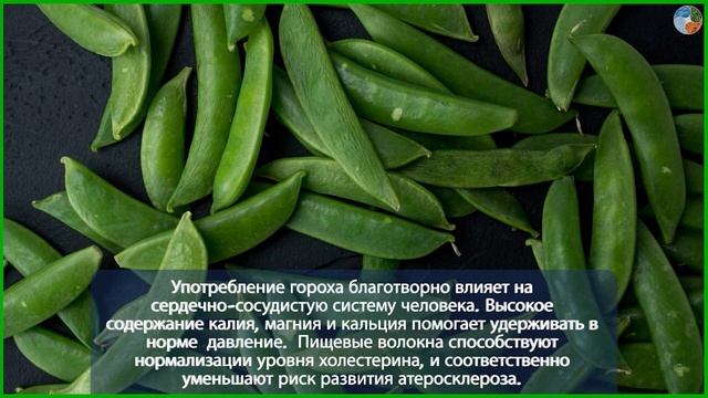 Польза гороха для организма смотреть онлайн