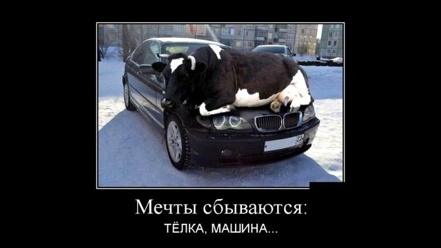 смешные демотиваторы, демотиваторы свежие, демотиваторы смешные свежие, смешные демотиваторы 2019 смотреть онлайн