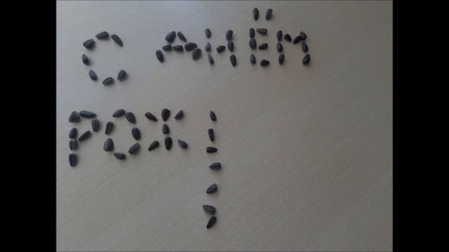 С Днём рождения ёпт смотреть онлайн