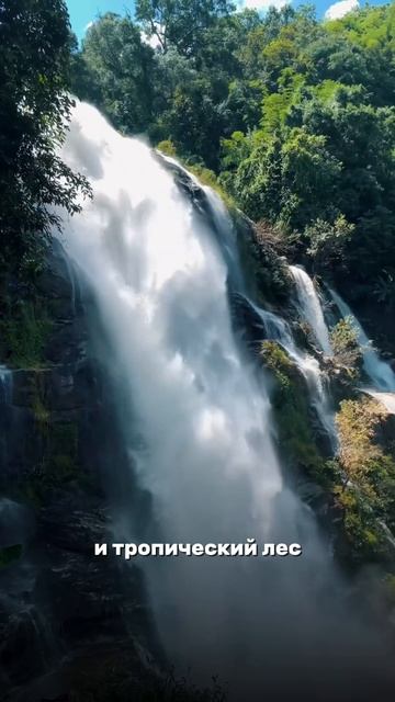 ⛰️Чем заняться на Севере Таиланда? Топовые локации смотреть онлайн