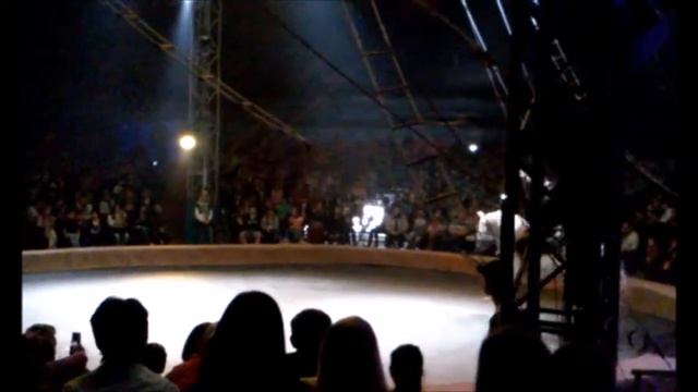 ЦИРК KOBZOV WOOZU, ВСАДНИК НА ЛОШАДИ, СУПЕР ПРЕДСТАВЛЕНИЕ В ХАРЬКОВЕ