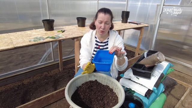 ПОСЕВ ОГУРЦОВ НА РАССАДУ ЗАБЫТЫМ СПОСОБОМ В ТОРФЯНЫЕ ? смотреть онлайн