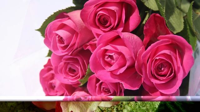 С Днем Рождения Задушевная песня Музыкальная открытк?