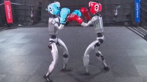Поединок между роботами-боксерами в Китае