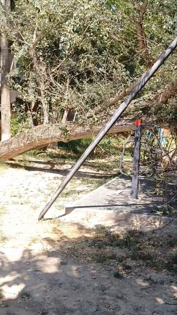 7 мкрн деревья падают возле на детские площадки а что е смотреть онлайн