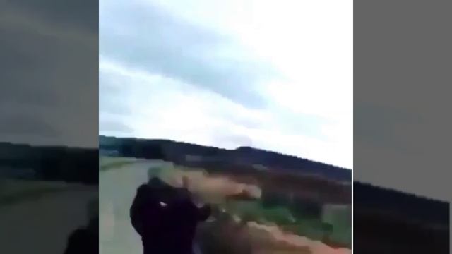 ПРИКОЛ смотреть онлайн