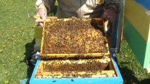 Постановка второго корпуса.