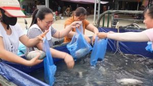 Девушка из Вьетнама сетью ловит рыбу. Потом продает ее. Жизнь во Вьетнаме