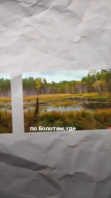 Зумеры устали от комфорта смотреть онлайн