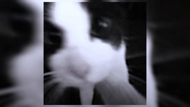 lovv66 - май май (speed up) смотреть онлайн