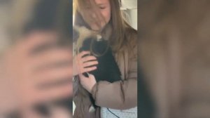 VLOG//Завела щенка Бордер-Колли||Забираю Черри!🐾🐶