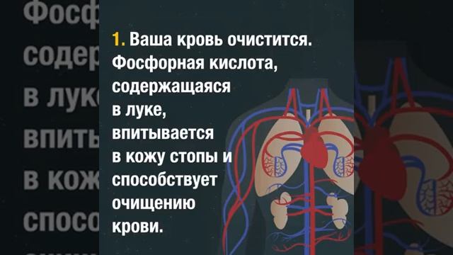 3 марта 2017 г.