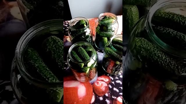 Забытый цветок