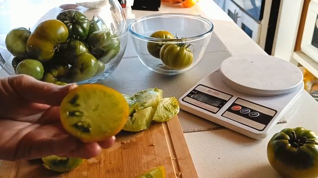 СРАВНИВАЮ ДВА СОРТА ТОМАТА БОЛОТО И МАЛАХИТОВАЯ ШКАТУ смотреть онлайн