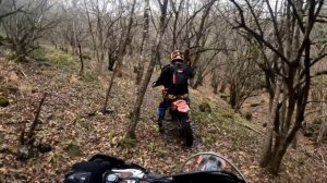 Интересная находка в лесу Kews k16 nb 300 | Lanza 2T | FXmoto | Regulmoto