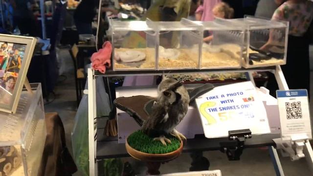 Сенсация! Самолёт на рынке?!#shortvideo #memes #youtubeshorts #dance #art#жизнь #приколы #funny #гд смотреть онлайн