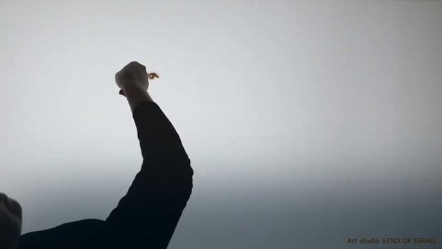 Юля, с Днем рождения! 2 mp4 смотреть онлайн