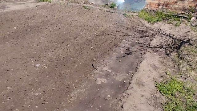 15 квітня, саджаю редиску та щавель| I plant radishes and sorrel. Onions смотреть онлайн