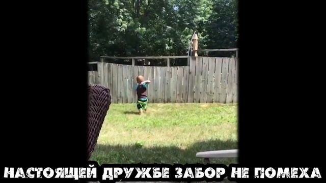Лучшие приколы 2019 Февраль | Тест на психику | ПО ПРИКОЛУ#75😂 | Свежая подборка смотреть онлайн