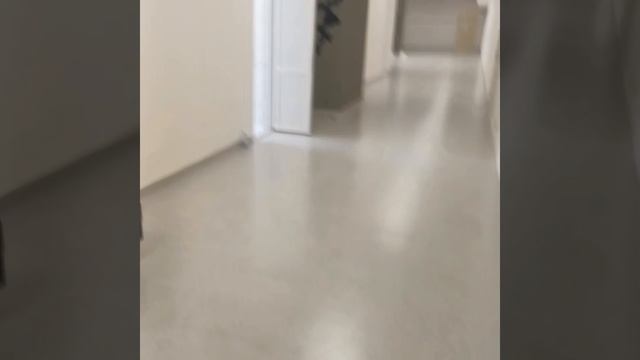 Рум Тур по моей школе. Первый день в школе. Видео сдела?