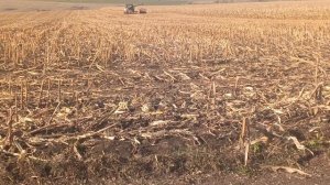 уборка кукурузы на зерно акрос 580