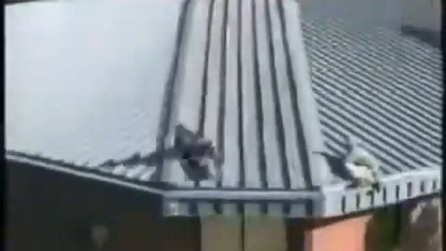 Безумный клоун Юмор! Прикол смотреть онлайн