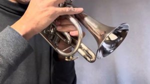 Корнет поет для мира / Рябина / Горобина / Rowan 小さなぐみの?