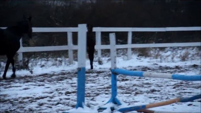 Пахлава(Хип-Хоп - Потеха)