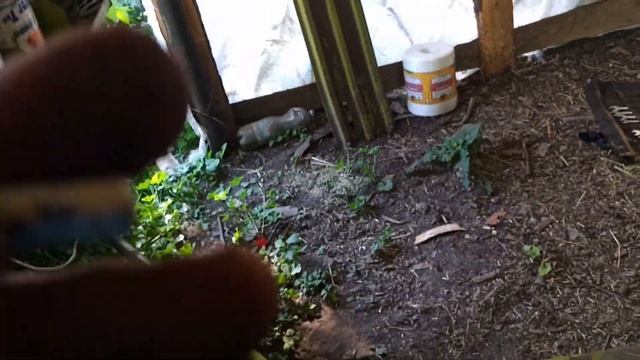 Claas Markant 40 заточка ножів. Перша заточка ножів преспідбо