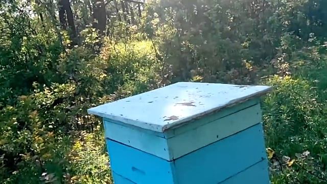 Интересные итоги развития на сетки . смотреть онлайн