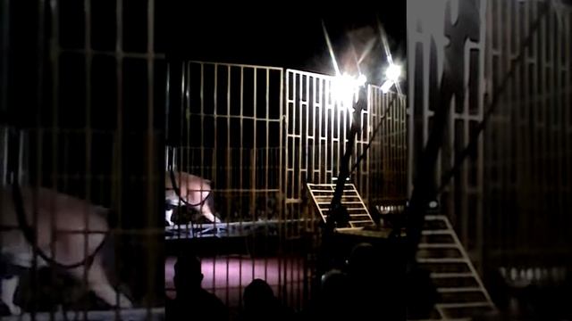 Советский цирк смотреть онлайн