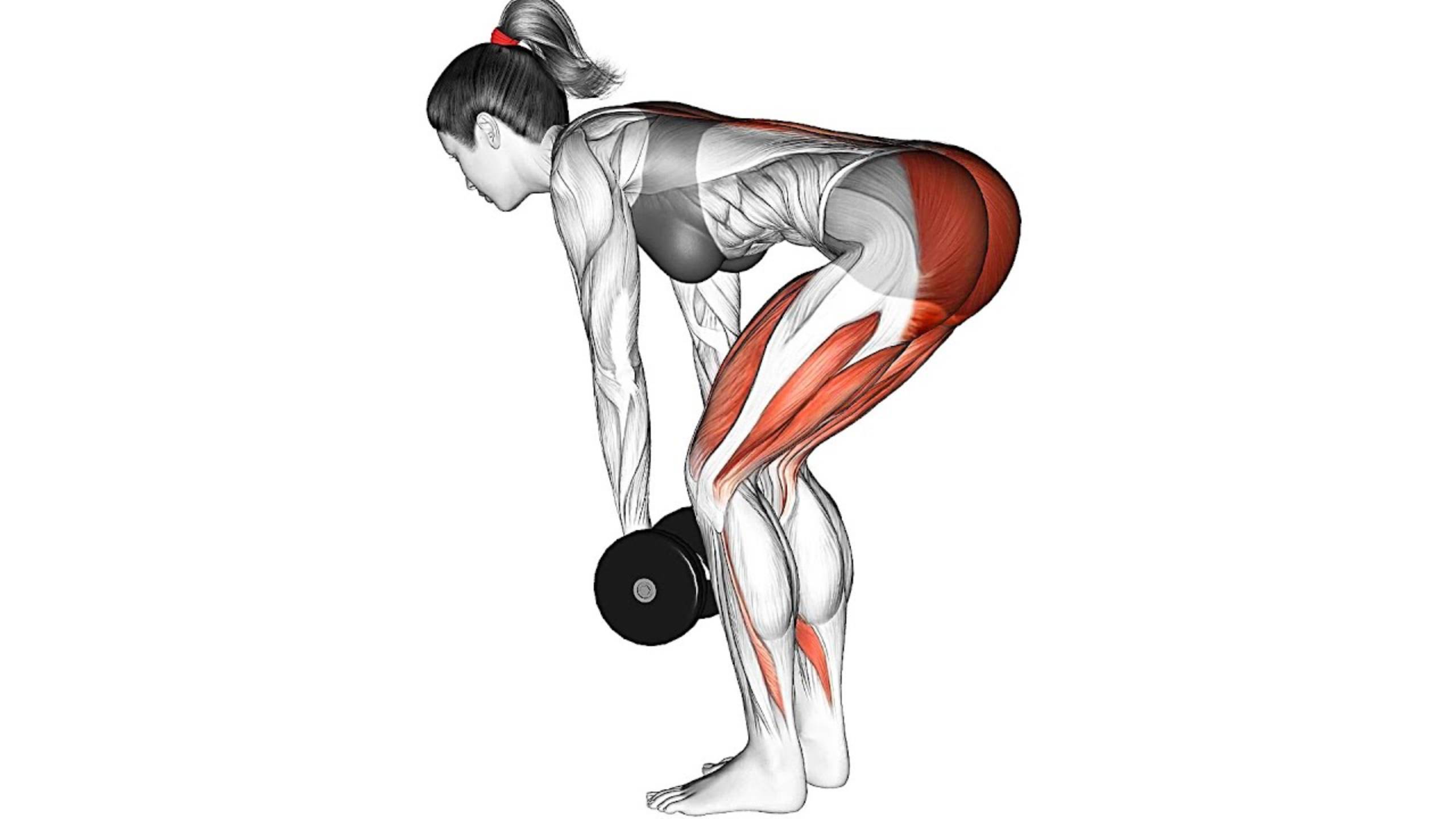 Лучшие Упражнения для Ног с Гантелями для женщин смотреть онлайн