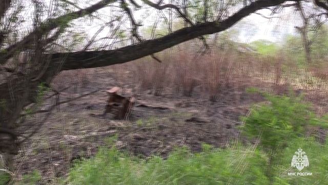 Больше 850 профилактических мероприятий, выявлено 36 нарушителей смотреть онлайн