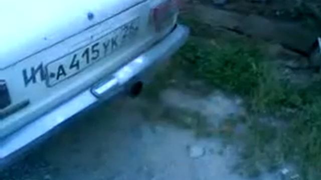 Серёгин копидос Avi