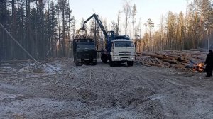 Погрузка в лесосеке и вывозка леса