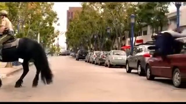 Прикол 1500 $$# смотреть онлайн